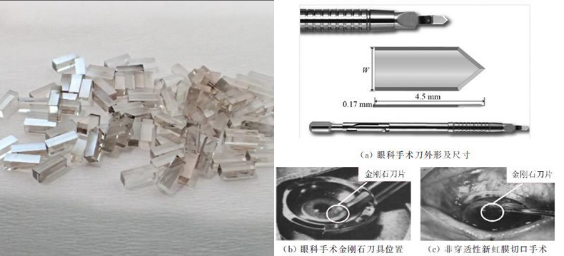 下载-(1).jpg